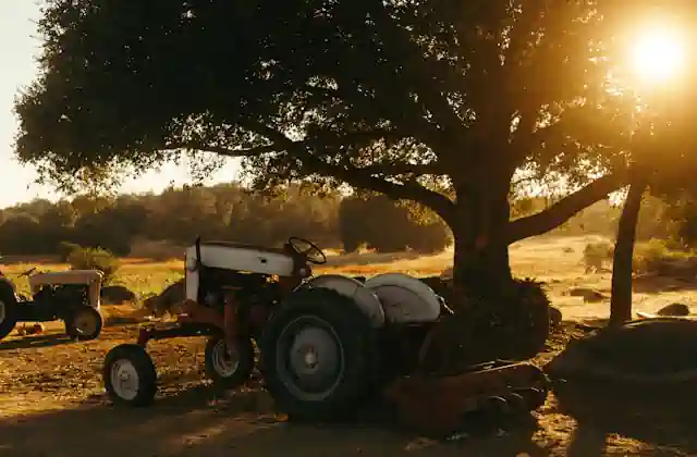 Tractor mic pentru uz privat AgroFarm